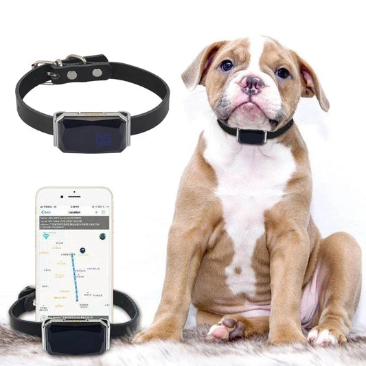 PetOrbit Tracker - Collar con rastreador GPS localizador para mascota