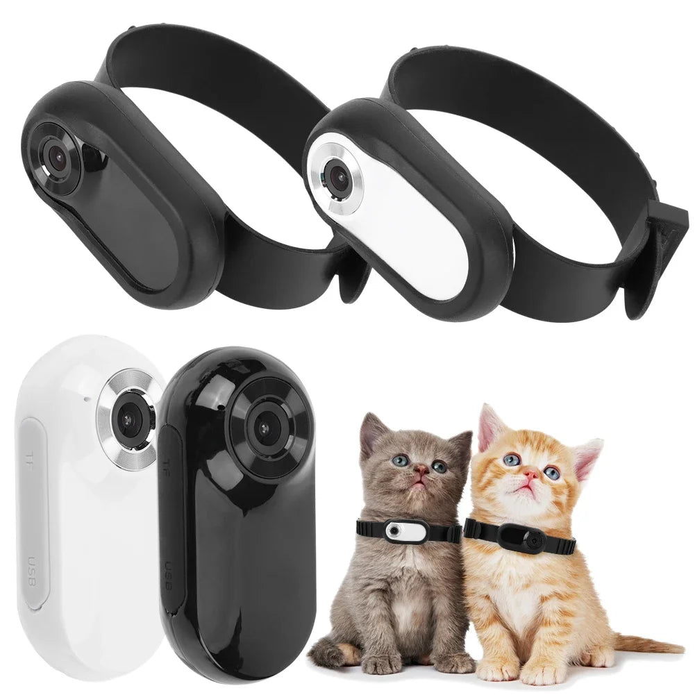 PetView Cam - Cámara de collar inalámbrica HD 1080P